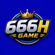666H Customer support